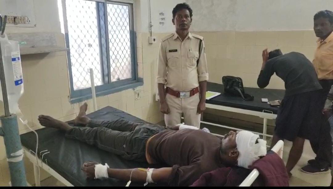 Umaria: A tiger hiding in bushes attacked a young man, causing serious injuries on his head, hands and back