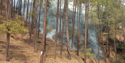 Nainital News Angry villagers pelted stones on forest team During catching tiger set fire to forest
