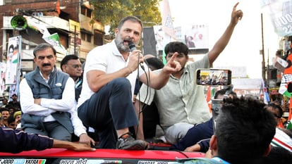 भारत जोड़ो न्याय यात्रा : प्रतियोगी छात्र से बातचीत का वीडियो राहुल ने किया ट्वीट, सरकार पर उठाए सवाल Bharat Jodo Nyay Yatra: Rahul tweeted video of conversation with competing student