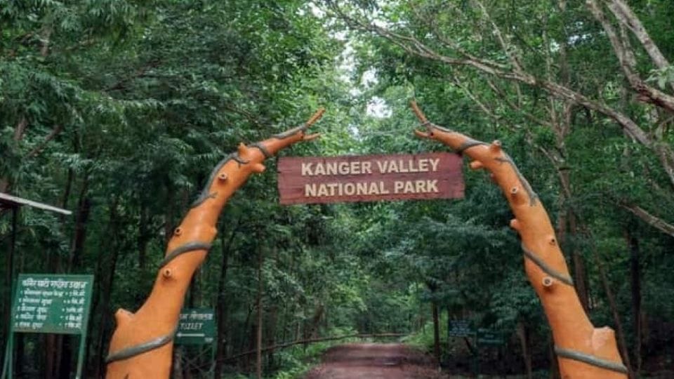 Bird species surveyed in Kanger Valley National Park Jagdalpur