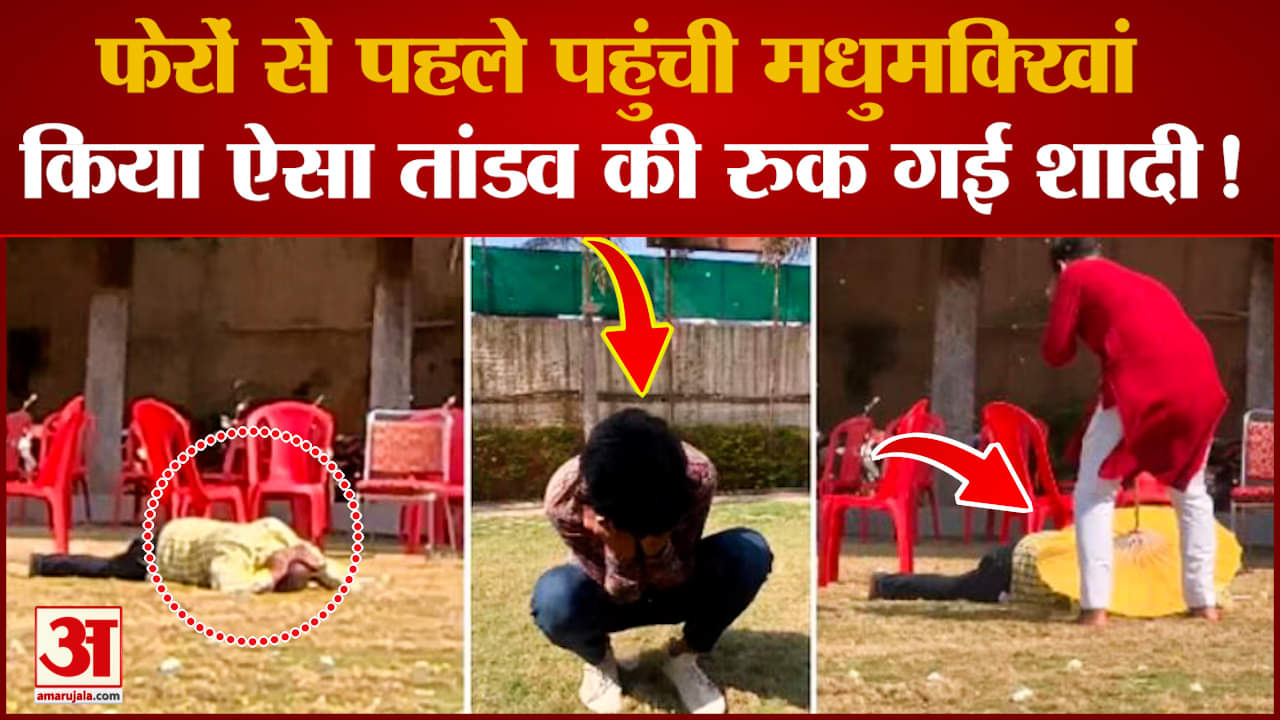 Guna की ये शादी दुनिया में हो गई Viral,  देखिए मधुमक्खियों ने कैसे की मेहमान नवाजी ? | Viral Video