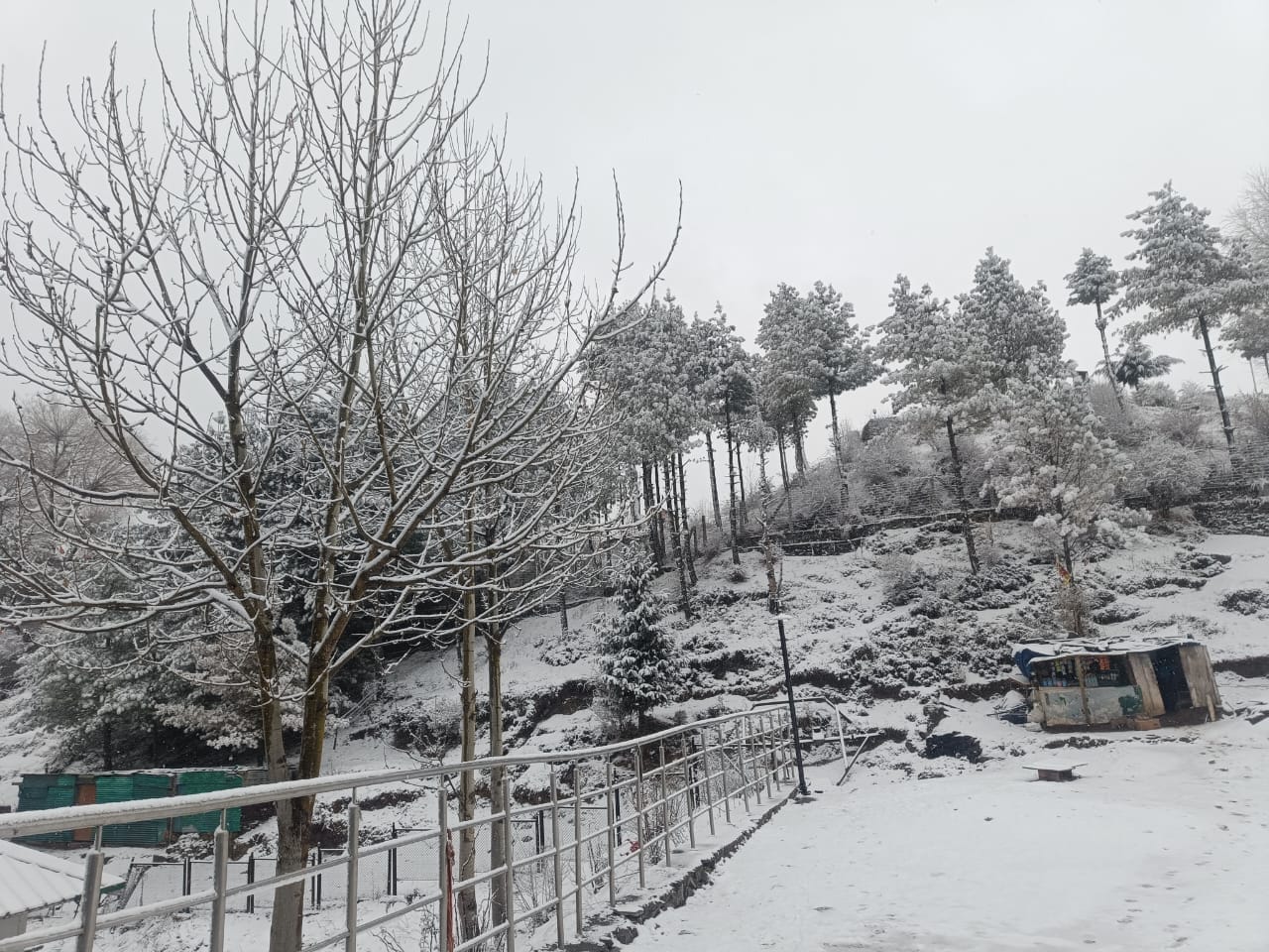 Uttarakhand Weather Heavy Snowfall In Auli Today See Beautiful Visuals