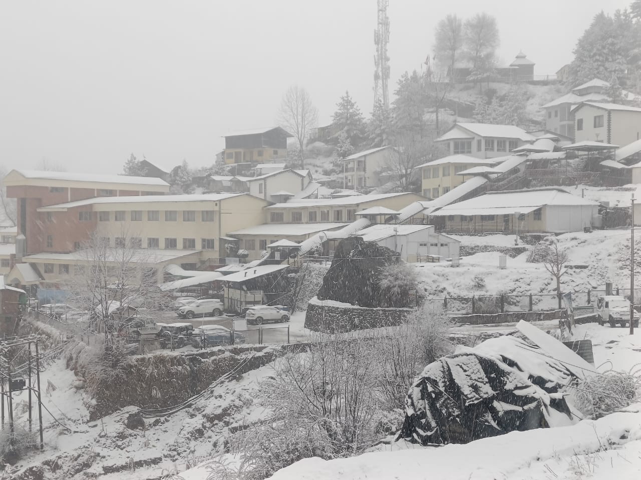 Uttarakhand Weather Heavy Snowfall In Auli Today See Beautiful Visuals
