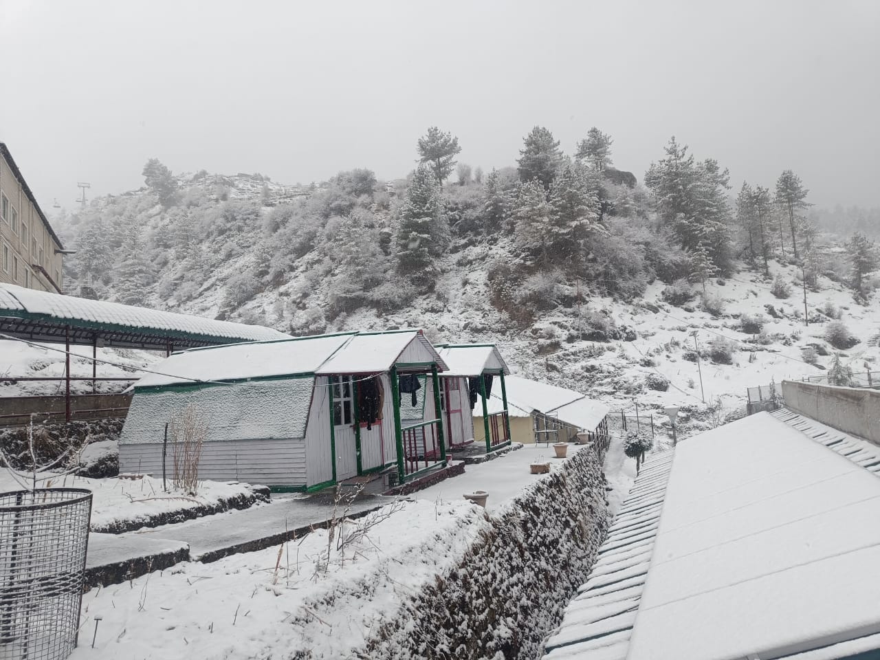 Uttarakhand Weather Heavy Snowfall In Auli Today See Beautiful Visuals