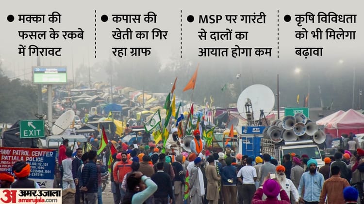 Farmers Protest Huge Demand For Maize And Pulses, Yet Farmers Are Forced To Sell Below Msp – Amar Ujala Hindi News Live