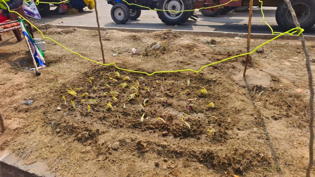 Kisan Andolan: Farmers grew onions on dividers