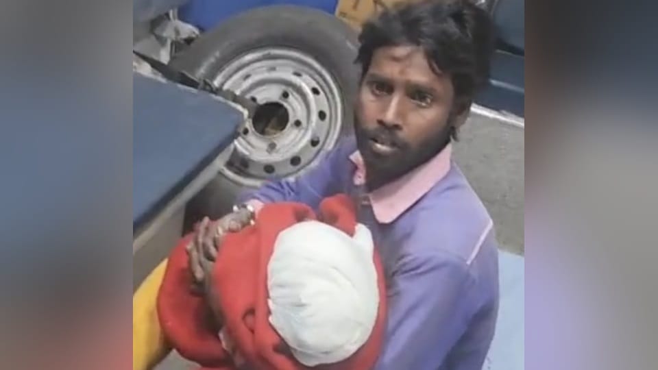 Two Year Old Bitten by Stray Dogs in Abohar of Punjab