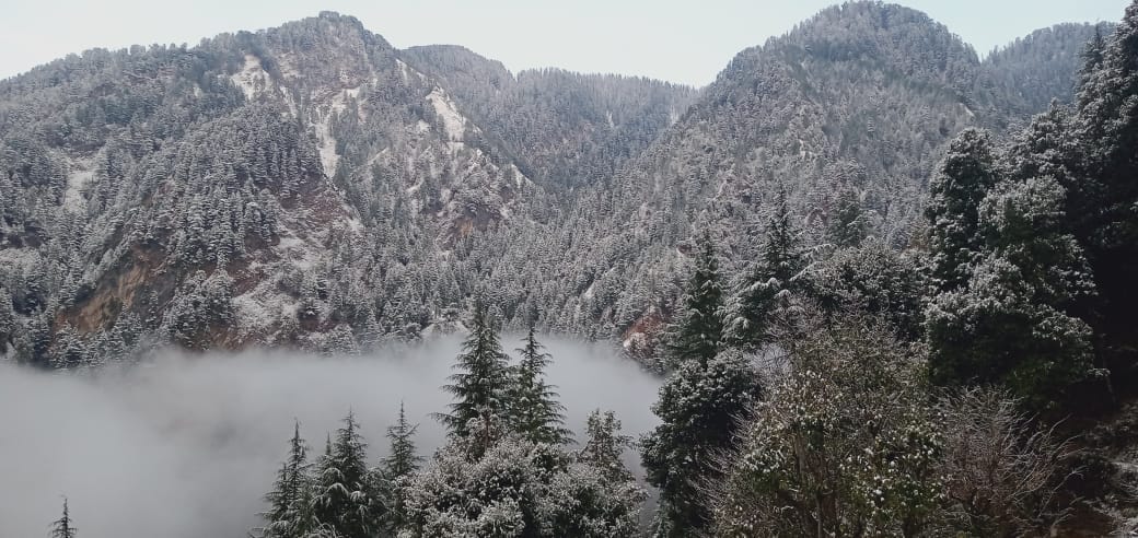 Uttarakhand Weather Snowfall in Chakrata again tourists Happy To See Beautiful Visuals