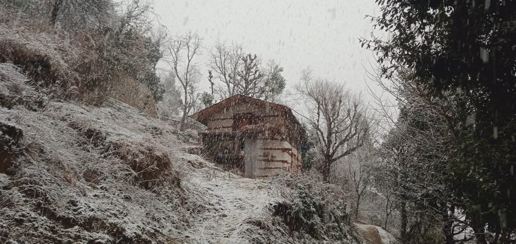 Uttarakhand Weather Snowfall in Chakrata again tourists Happy To See Beautiful Visuals