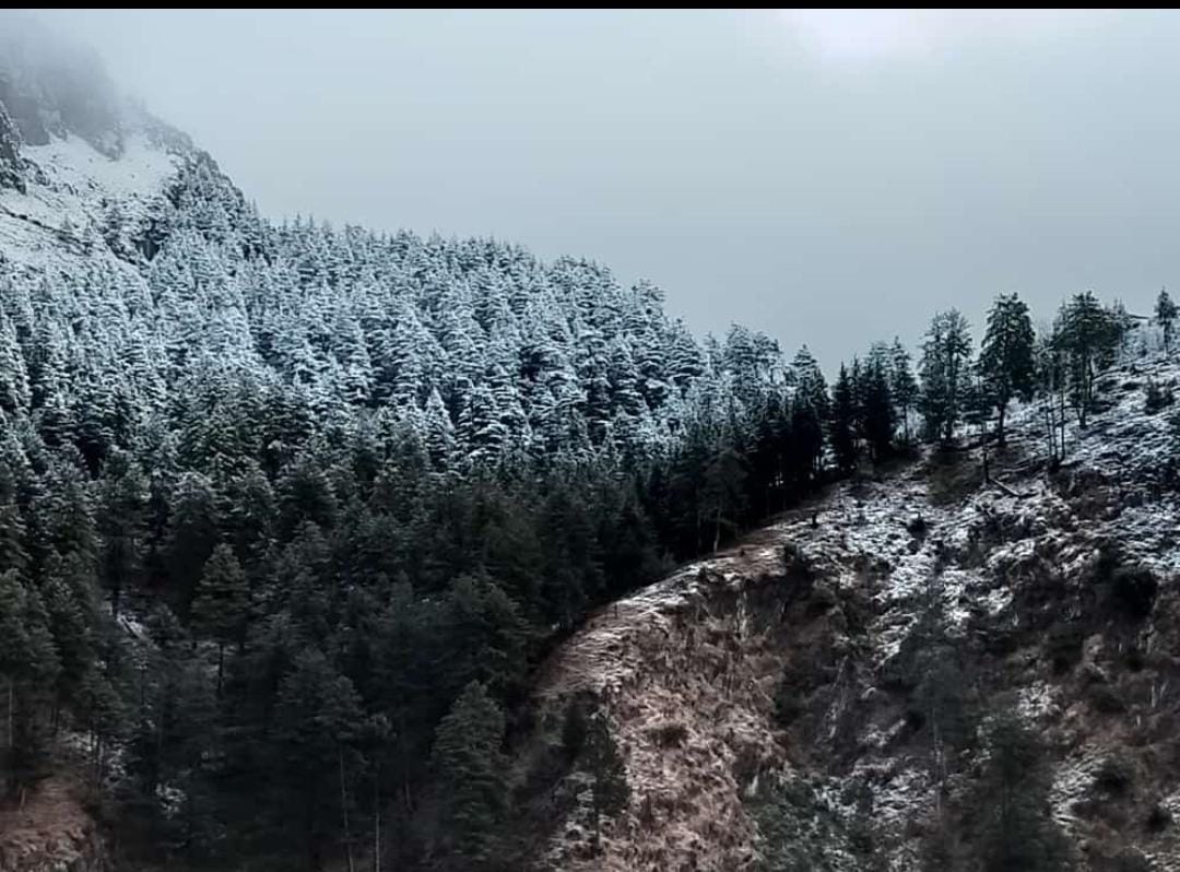 Uttarakhand Weather Snowfall in Chakrata again tourists Happy To See Beautiful Visuals