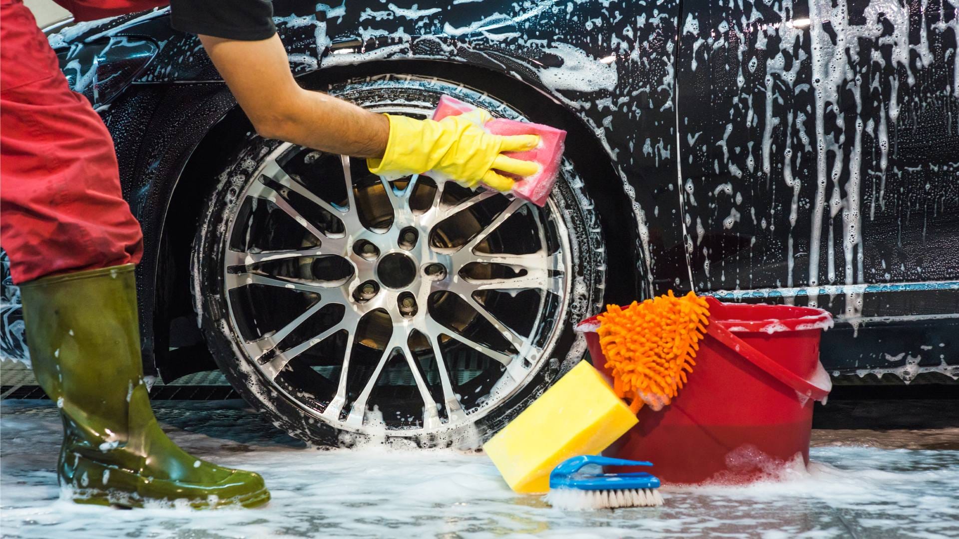 Holi 2024: How to remove holi color on your bike or car