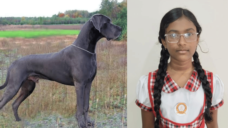 student going to school with her father was bitten by dog