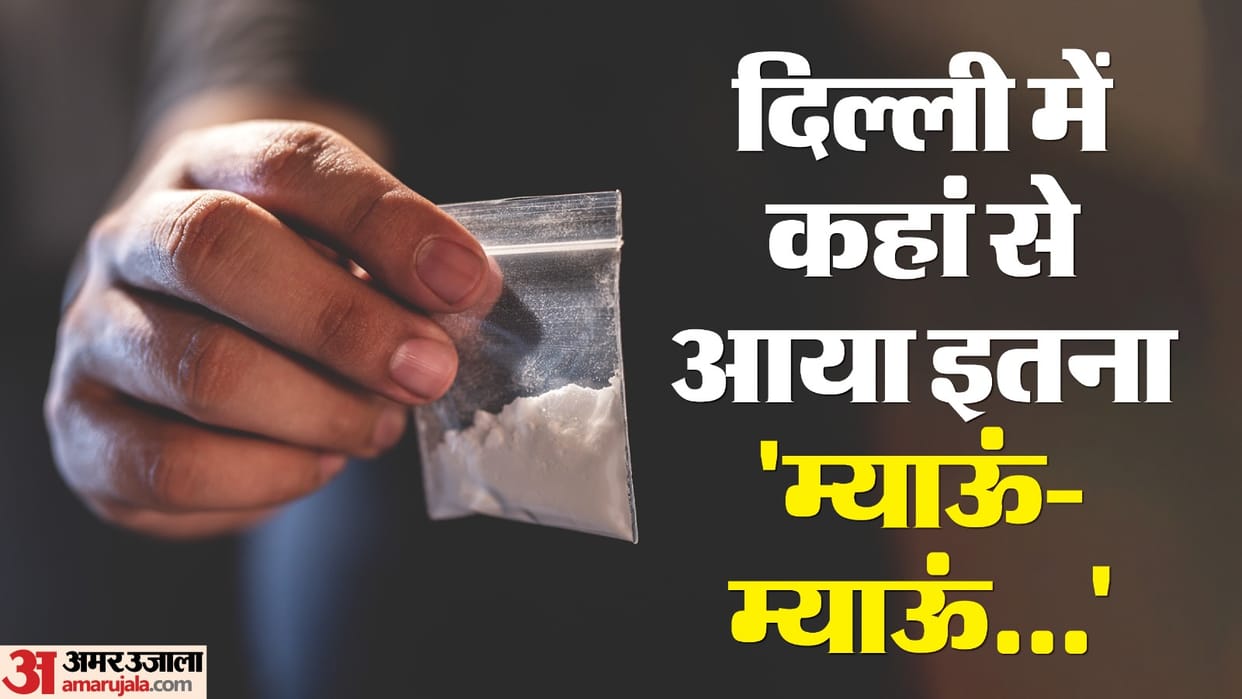 Meow meow drugs worth Rs 3000 crore recovered from Delhi