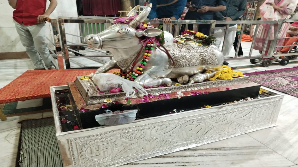 Ujjain: stand of Baba Mahakal's Nandi ji also became silver, devotees covered it with about 11.650 kg silver