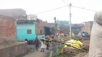 Swarm of bumblebees attacked a woman who went to pick wood