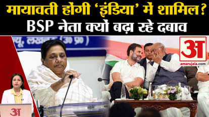 Loksabha Elections 2024: BSP leaders increase pressure on Mayawati to join 'India' alliance