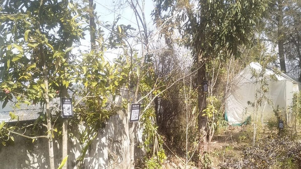 Know the properties of medicinal plants through QR code in Soban Singh Jeena University almora