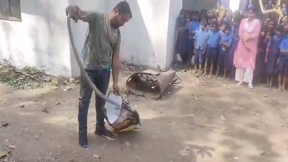 A seven feet python was sitting coiled in the school toilet in Korba