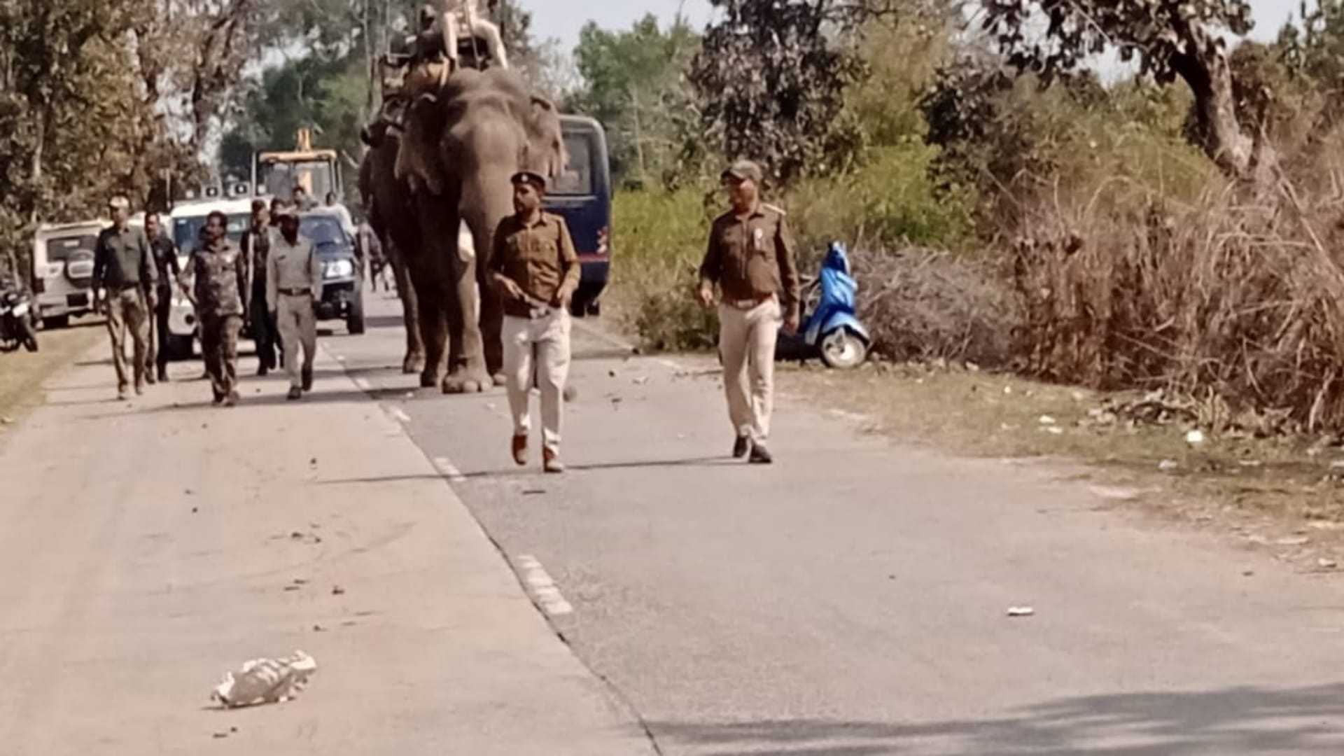 बांधवगढ़ से आए गौतम और लक्ष्मण