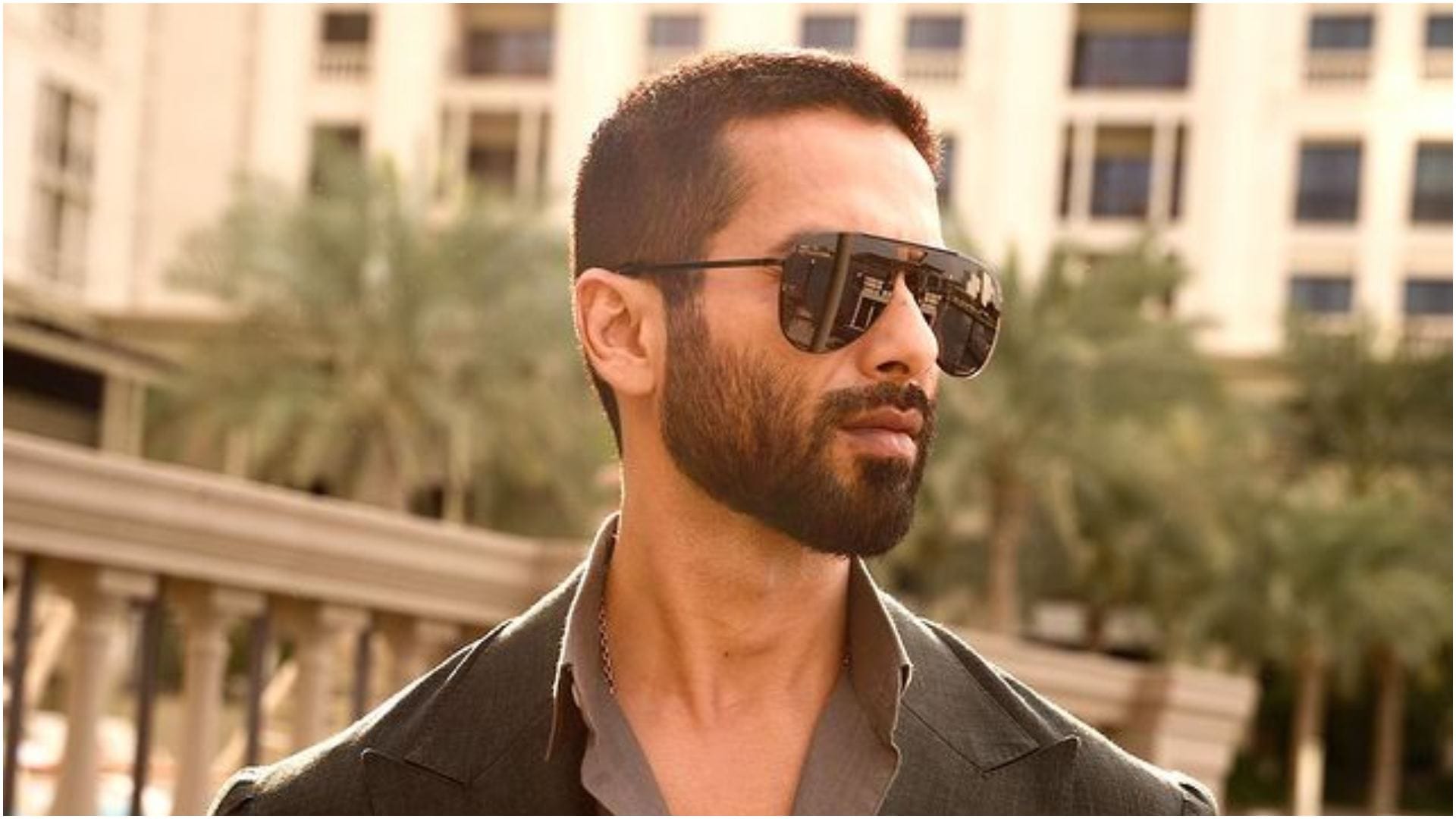 Shahid Kapoor opens up on his struggle of his career admits he has reached where he is because of his craft