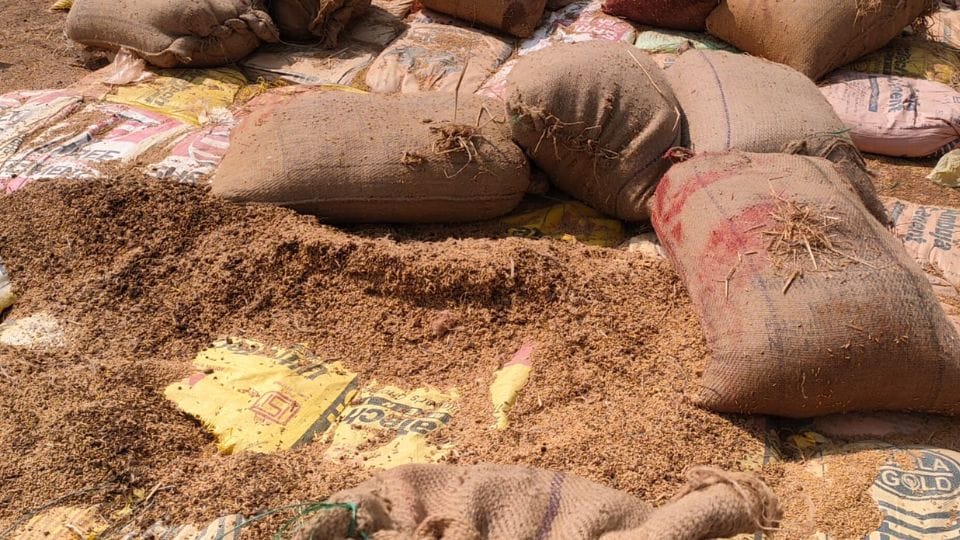 Paddy could not be lifted in Balod even after 22 days of purchase in balod