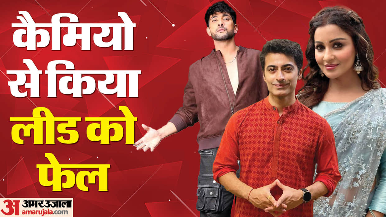 TV Celebs Cameo Jay Soni chhavi pandey Karan V Grover Rupali Ganguly fahmaan khan see full list