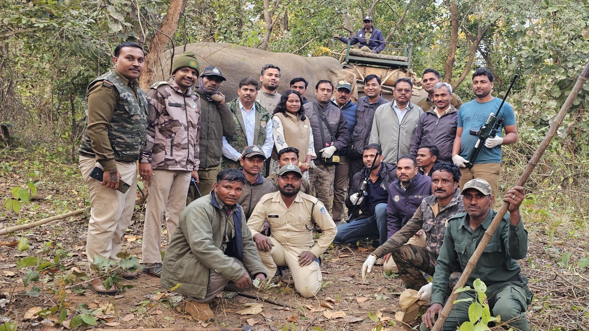 बेकाबू हाथी को पकड़ने के बाद बांधवगढ़ टाइगर रिजर्व की टीम