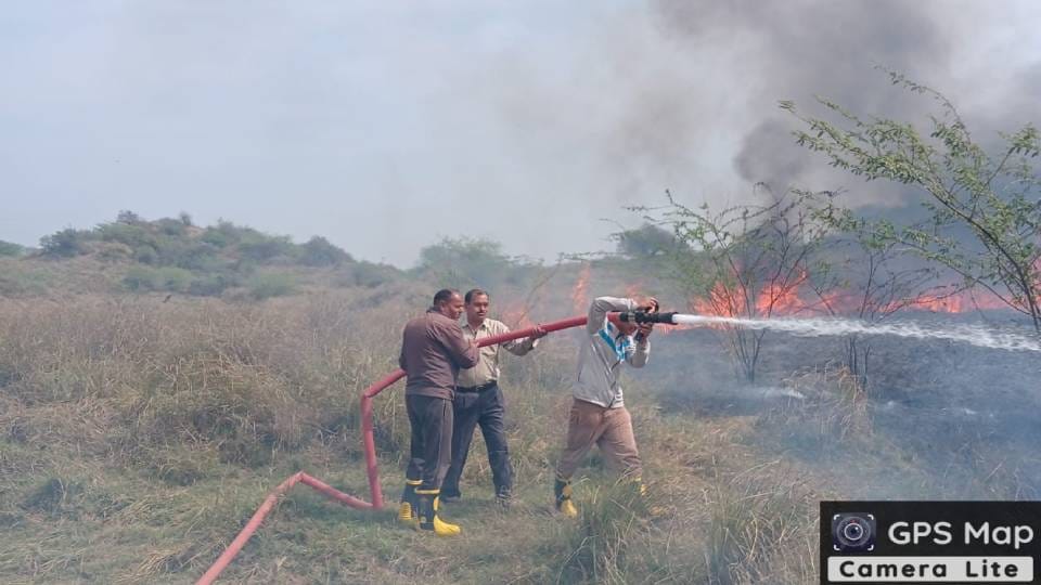 fire broke out in ravines of Chambal in Agra Animals were disturbed by flames
