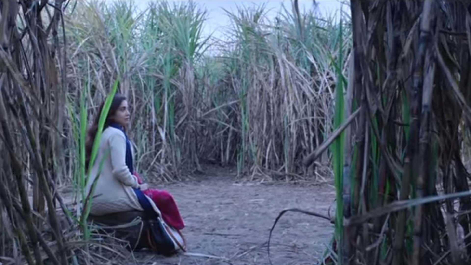 These Bollywood horror film are remake Bhool bhulaiyaa laxmii alone chhorii