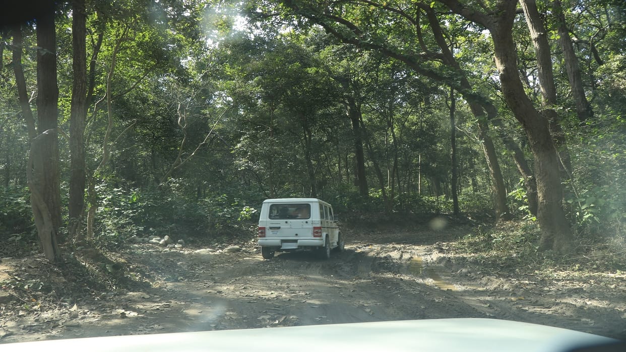 Study Forests spread over 21,672 hectares in India lost during 2023