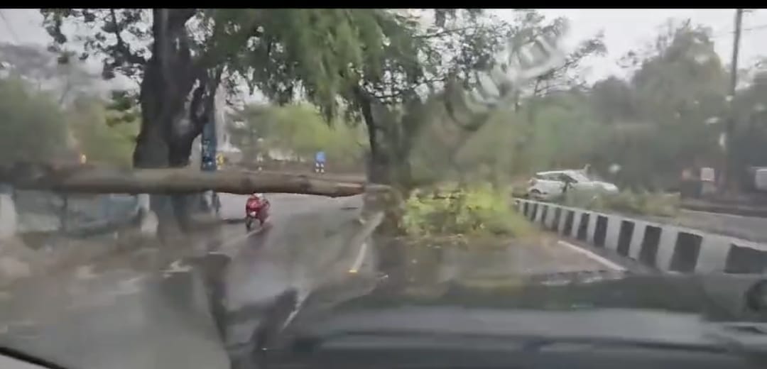 Bhopal News: Heavy rain with thunderstorm in Bhopal, Jyotiraditya Scindia's plane could not land, returned to
