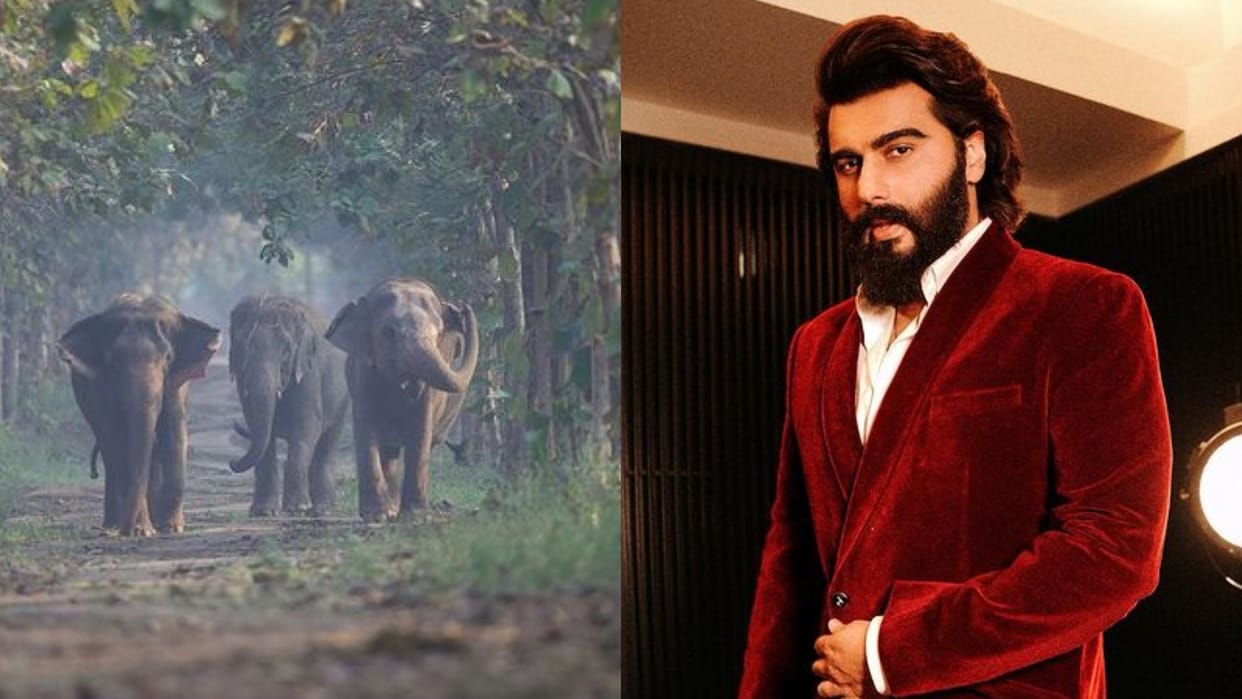 Singham Again actor Arjun Kapoor Praise anant ambani for vantara initiative in jamnagar gujarat see post
