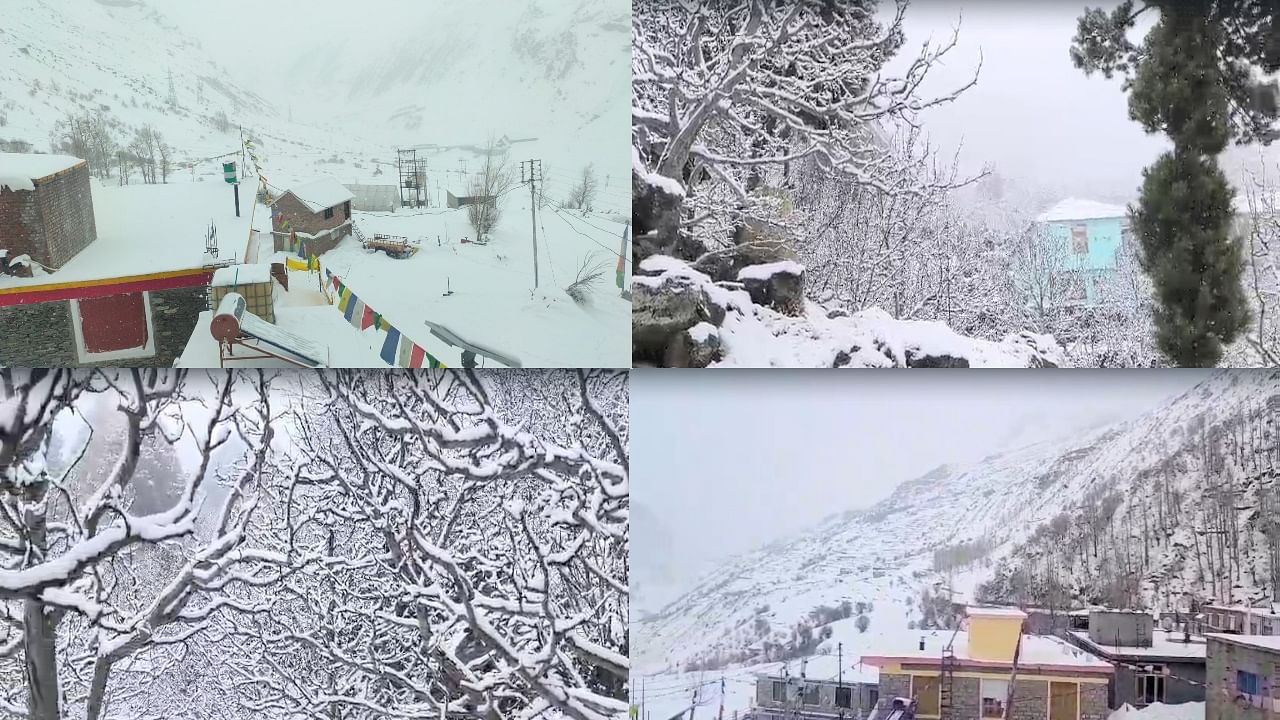 Himachal Weather Update Fresh Snowfall In High Altitude Areas Know Imd Forecast Amar Ujala 0910