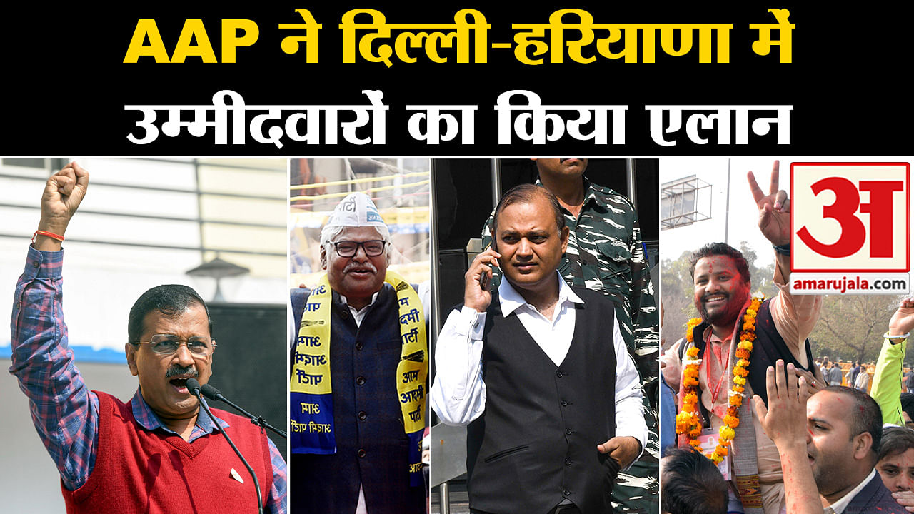 Lok Sabha Election 2024 Aap Released The List Of Candidates, Know Who