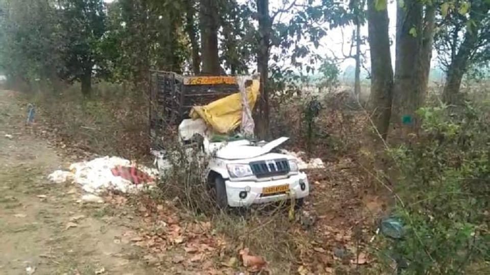 Vehicle full of chickens collides with a tree one died on the spot in Jagdalpur