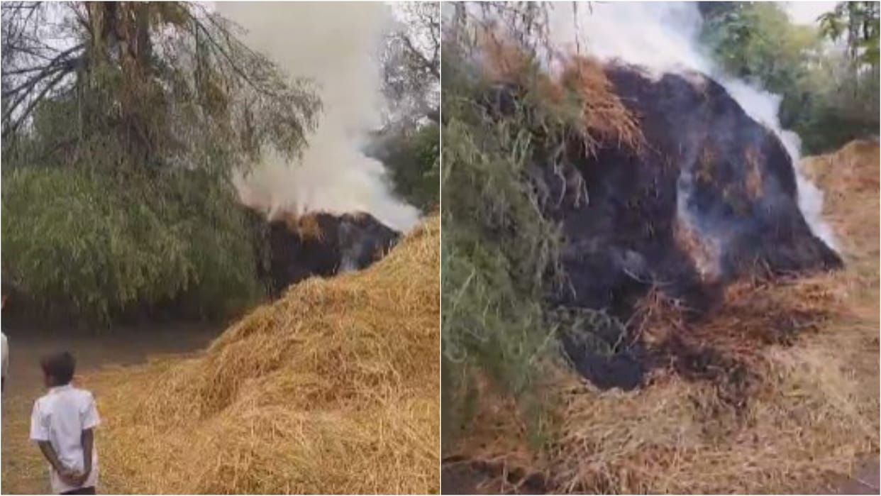 MP News: 2 killed due to lightning in Shahdol, house hit in Anuppur; Crops damaged due to rain in Sehore
