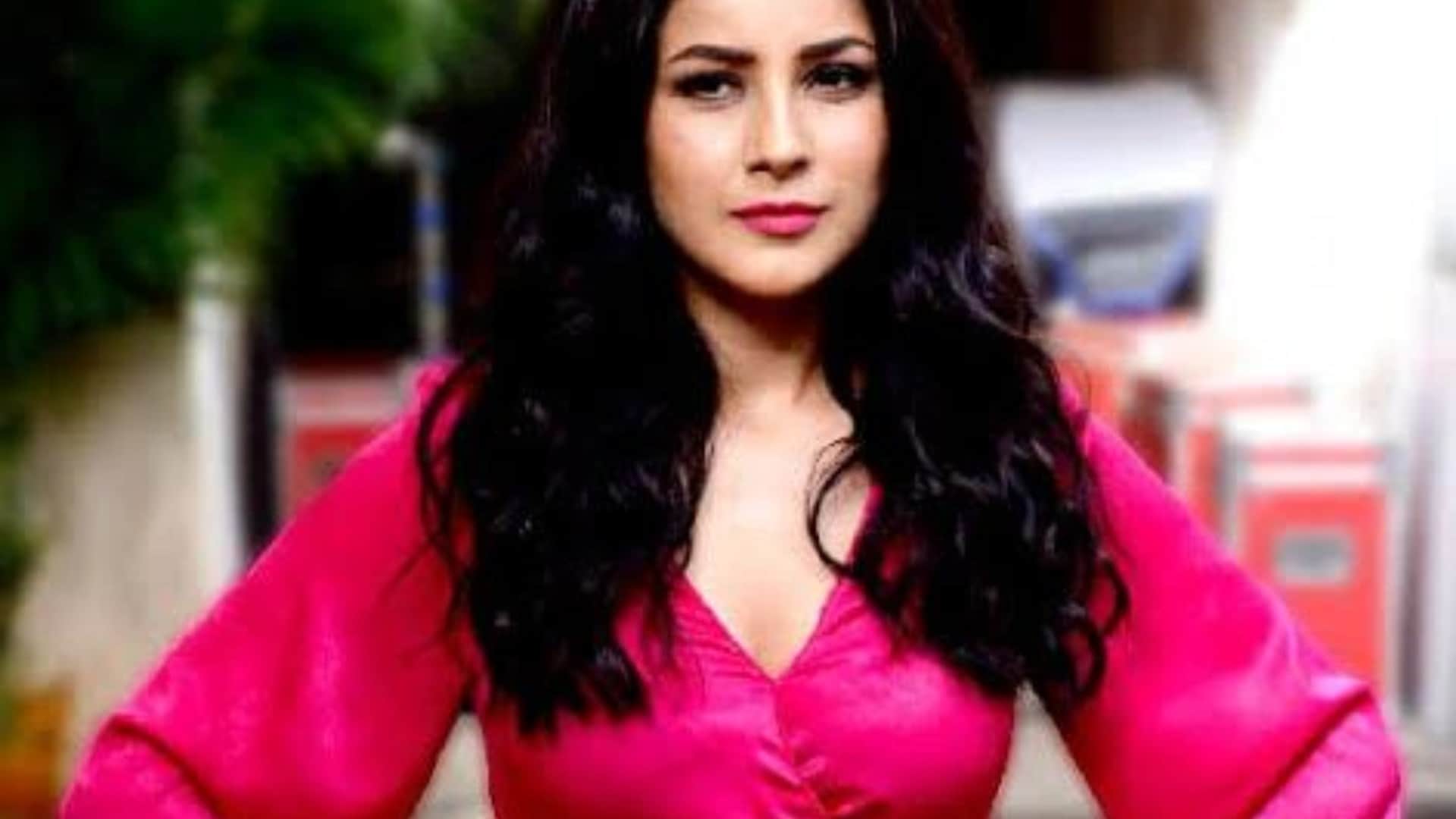 these tv celebrities have shown their interest in hosting and did really well know who are they