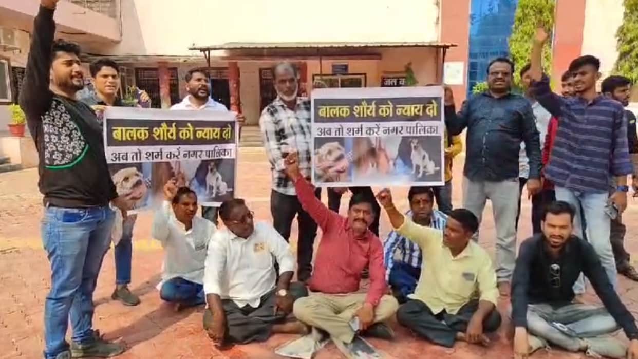 MP News: Two year old innocent boy was bitten by stray dogs, body not saved even for postmortem