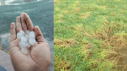 UP: अगले दो दिनों में बदलेगा यूपी का मौसम, कई जिलों में जारी किया गया ओलावृष्टि का अलर्ट Weather of Uttar Pradesh will changed in next two days.