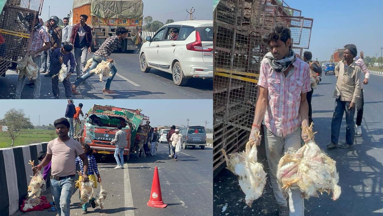 Tire burst, DCM overturned and chickens were looted in etawah