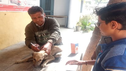 कुत्ते के इंजेक्शन लगाते कर्मचारी।