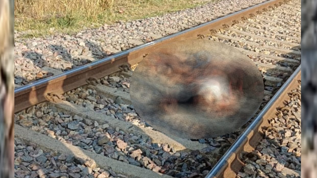 A couple's dead body found on railway track in Raebareli.