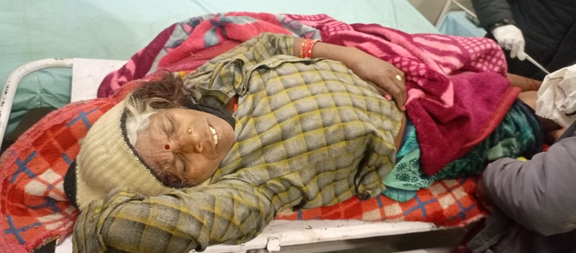 Umaria News: Tiger attacks woman who went to graze cattle, seriously injured in leg