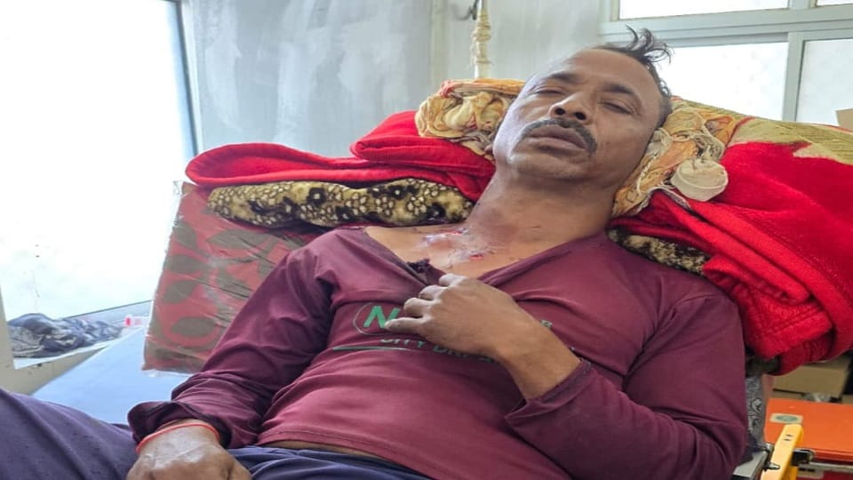 Uttarakhand News: Two bears attacked a villager in khatima