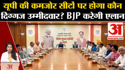 Loksabha Elections 2024: 100 to 150 candidates may be announced today in the BJP's election committee meeting.
