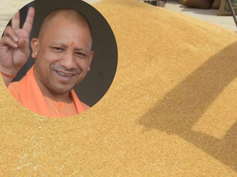 Wheat purchase will start from 1 March in Uttar Pradesh.