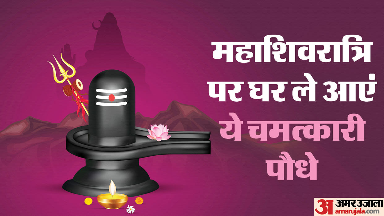 Mahashivratri 2024 Bring These Plant On Shivratri To Remove Negativity