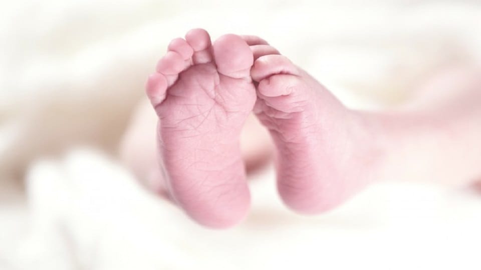 Uttarakhand News: girl dies due to parental dispute in kashipur