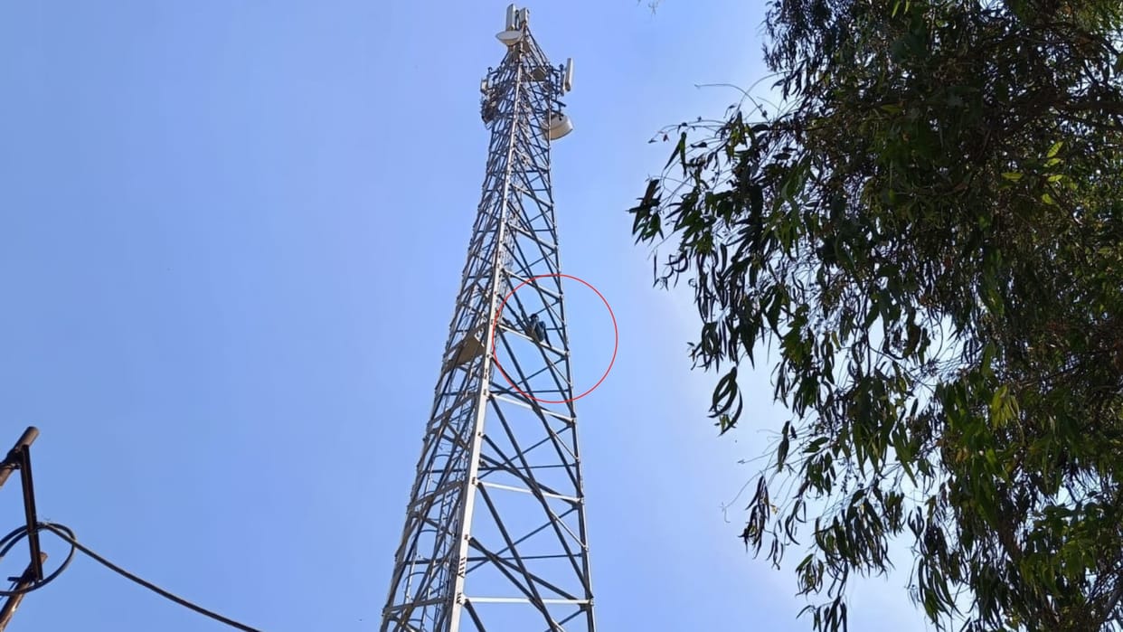 A man climbed on a mobile tower in Mahmoodabad in Sitapur.