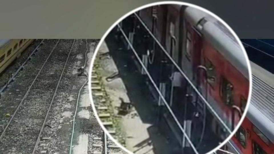 Youth commits suicide by jumping in front of train in Korba